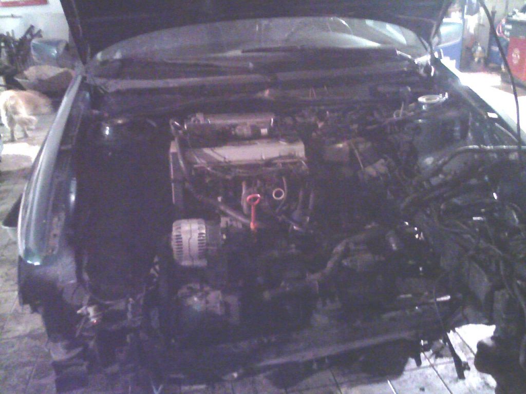 motor.jpg